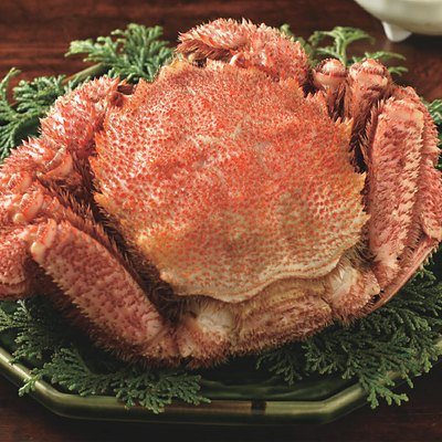 best Gourmet 16,000円コースの誌面より（70ページ）