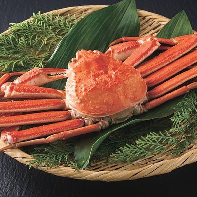 best Gourmet 21,000円コースの誌面より（72ページ）