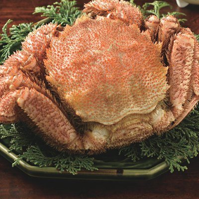 best Gourmet 26,000円コースの誌面より（64ページ）