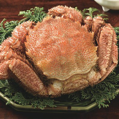 best Gourmet 31,000円コースの誌面より（68ページ）