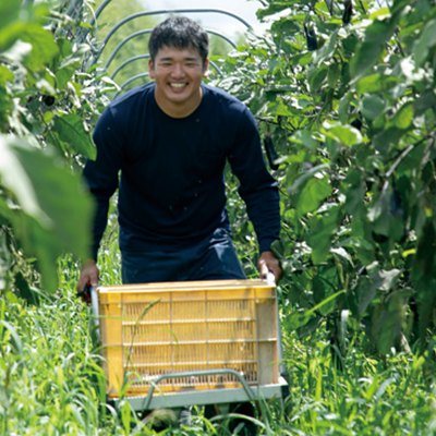 知多農家さんの食卓 11,000円コースの誌面より（4ページ）