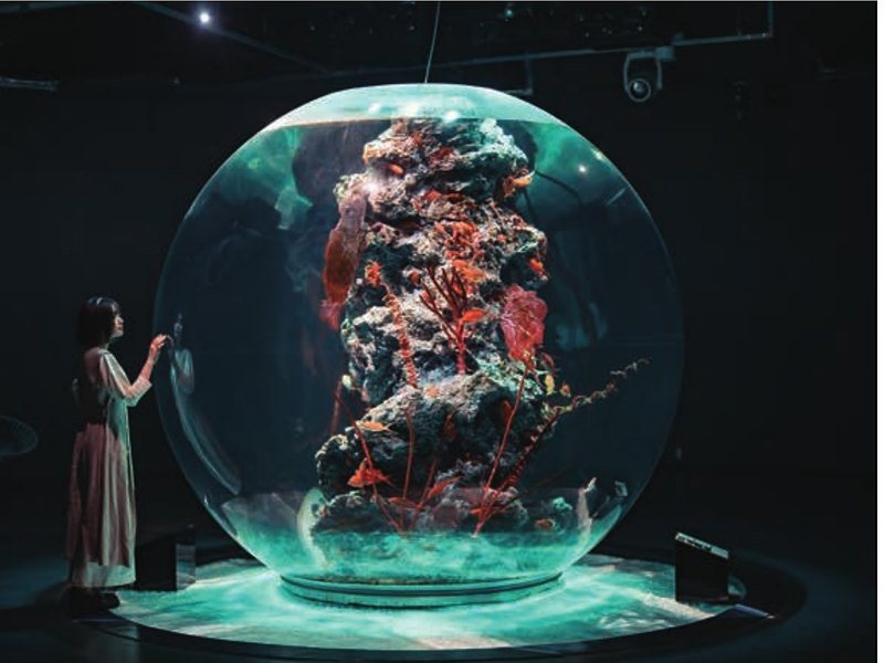 〈AQUARIUM×ART アトア〉入場券1名（チャオ 3,400円コース掲載）