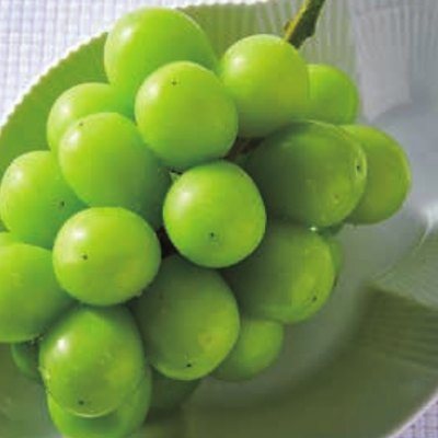 チャオ 3,900円コースの誌面より（238ページ）