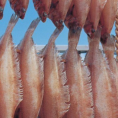 dancyu 11,000円コースの誌面より（24ページ）