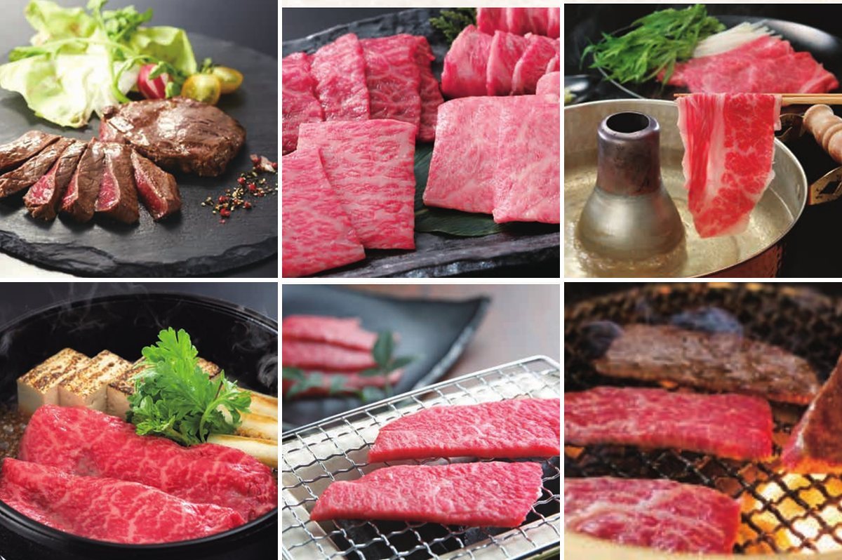 10,000円コース（溌剌（はつらつ））の誌面より