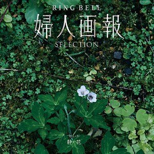 静花（せいか）の表紙