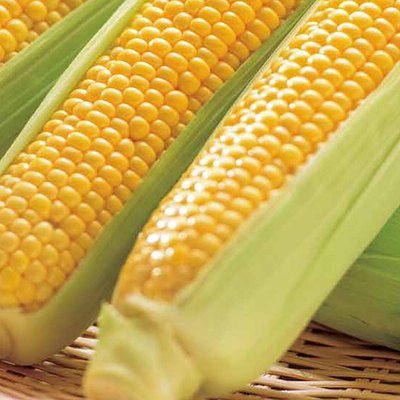 北海道のおくりもの 6,000円コースの誌面より（12ページ）