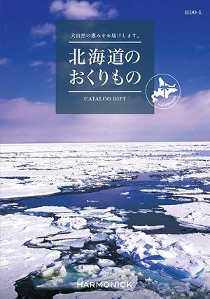 HDO-Lコースの表紙