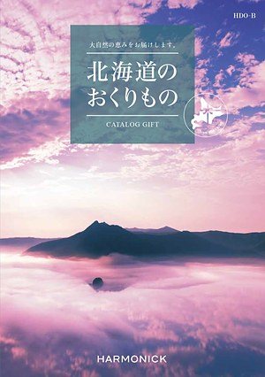 HDO-Bコースの表紙