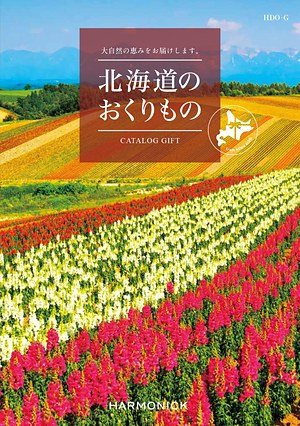 HDO-Gコースの表紙