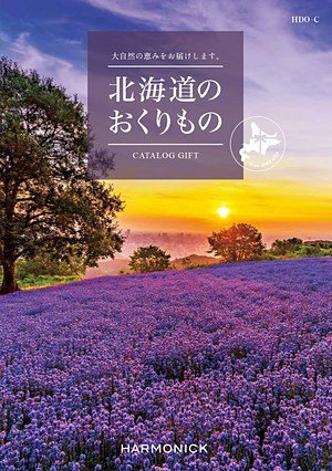 HDO-Cコースの表紙