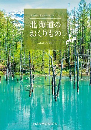 HDO-Pコースの表紙