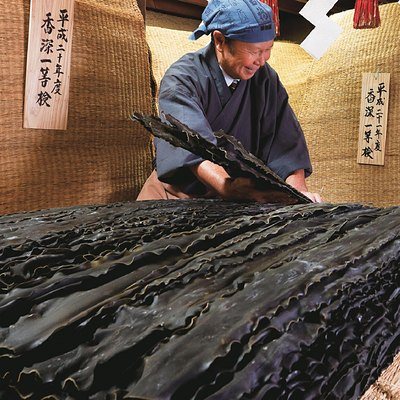 奥井海生堂