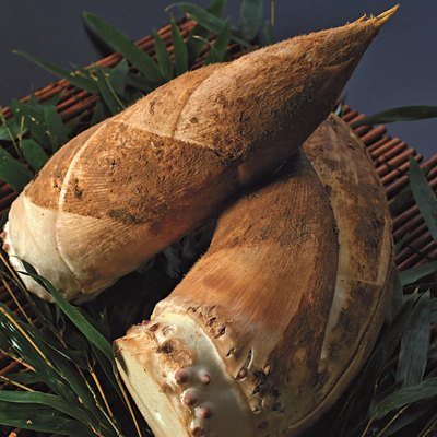 日本のおいしい食べ物 11,000円コースの誌面より（17ページ）
