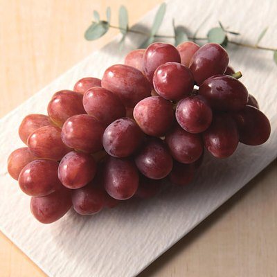 日本のおいしい食べ物 11,000円コースの誌面より（76ページ）
