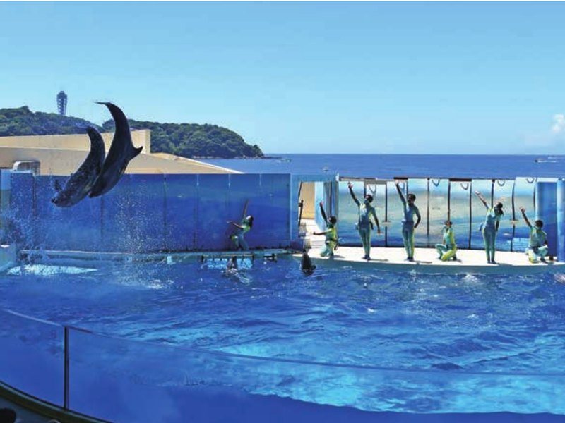 〈新江ノ島水族館〉親子入場券（Presentage 4,400円コース掲載）