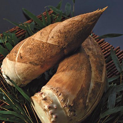 とっておきのニッポンを贈る 15,900円コースの誌面より（168ページ）