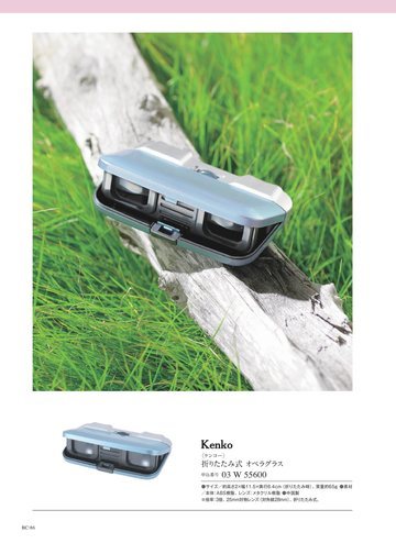 Kenkoの誌面（110ページ）