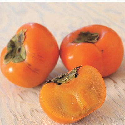 uluao 4,400円コースの誌面より（42ページ）