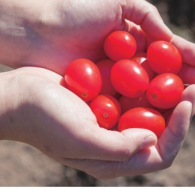 うましま 3,900円コースの誌面より（97ページ）