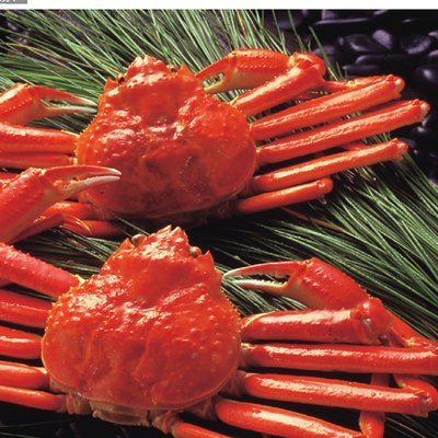 やさしいごちそう 10,200円コースの誌面より（22ページ）