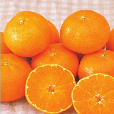 やさしいごちそう 10,200円コースの誌面より（29ページ）