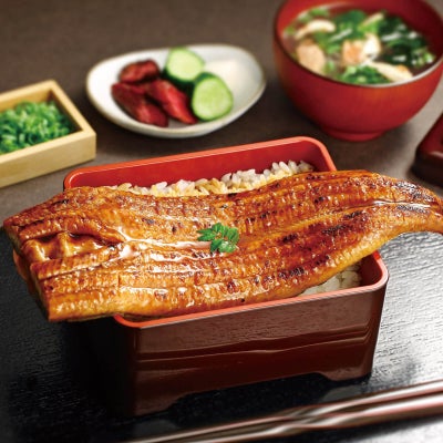 大森淡水 特大国産うなぎ蒲焼（長焼）300g（1尾入）