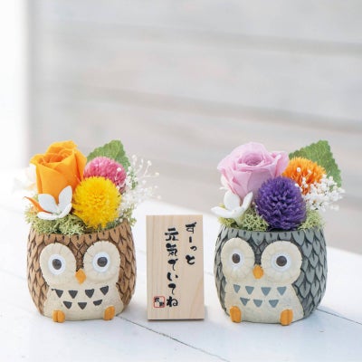 しあわせふくろう2色セット（プリザーブドフラワー）