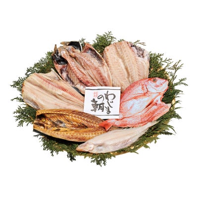 わじまの朝 大きな干物セット