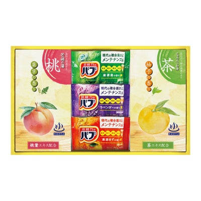 炭酸力の薬用入浴剤セット